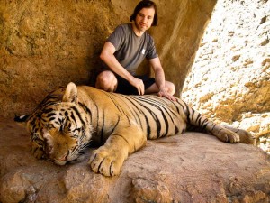 Playing with tigers